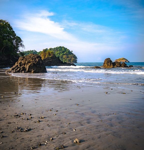 Circuit entre Jungles et Forêts du Costa Rica + extension Playa Samara pas cher photo 37
