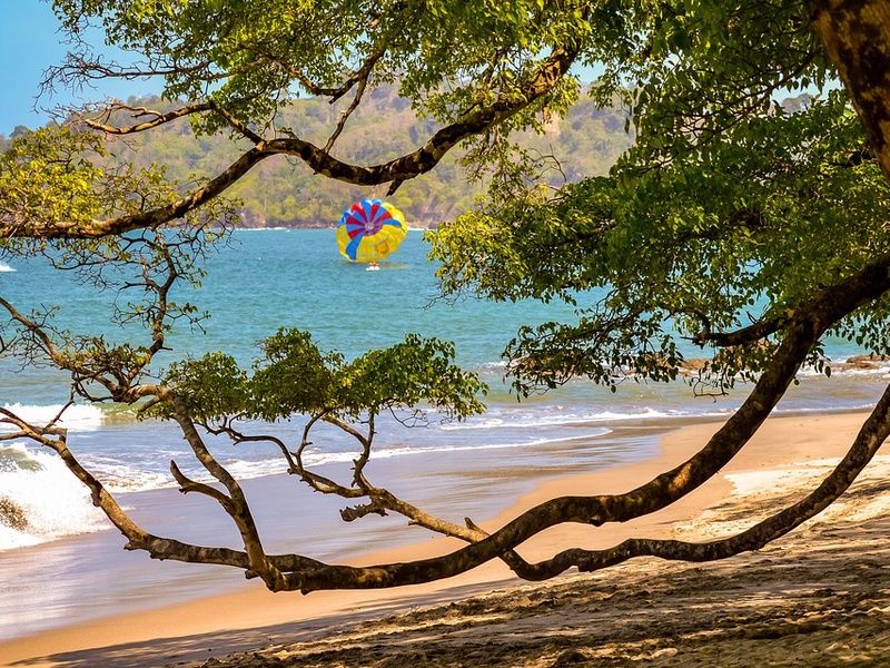 Circuit entre Jungles et Forêts du Costa Rica + extension Playa Samara pas cher photo 38