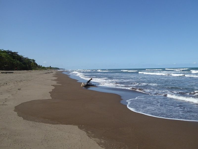 Circuit entre Jungles et Forêts du Costa Rica + extension Playa Samara pas cher photo 40
