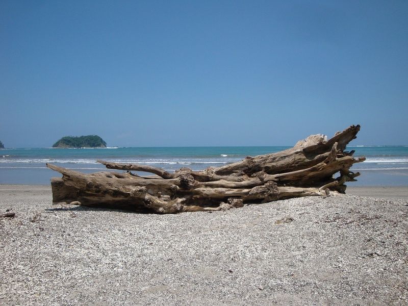 Circuit entre Jungles et Forêts du Costa Rica + extension Playa Samara pas cher photo 41