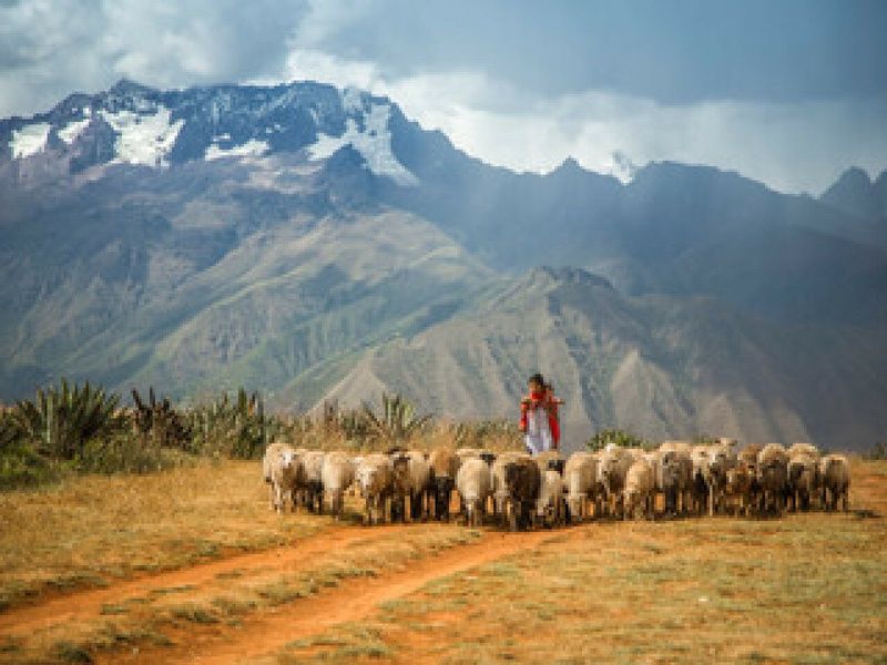 Sous le ciel des Andes pas cher photo 1