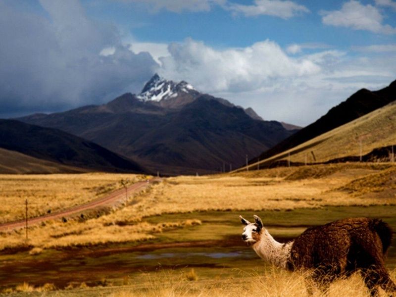 Sous le ciel des Andes pas cher photo 4