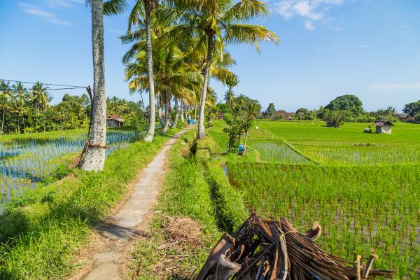 Circuit Bali Autrement pas cher photo 21