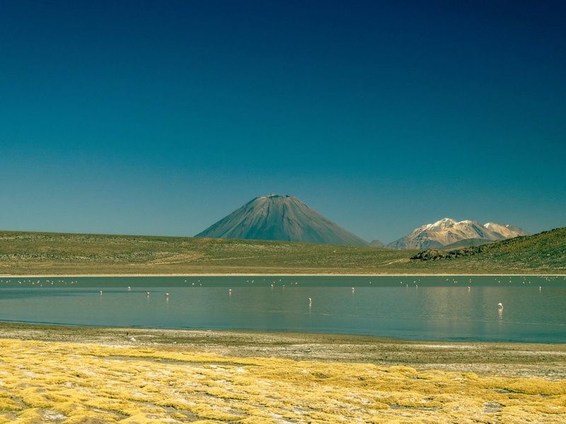 Délices des Andes pas cher photo 10