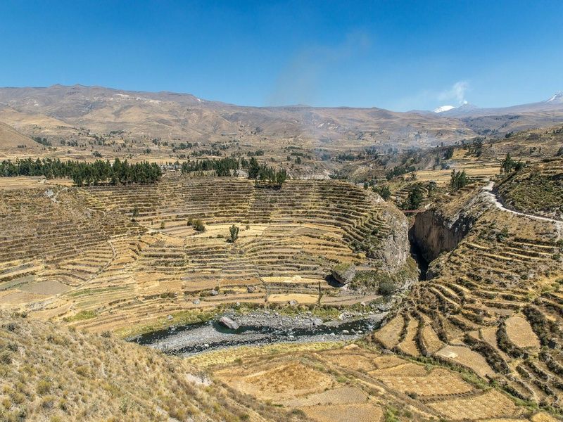 Délices des Andes pas cher photo 13