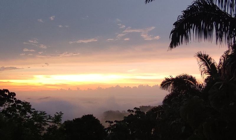 Alma de Colombia pas cher photo 1