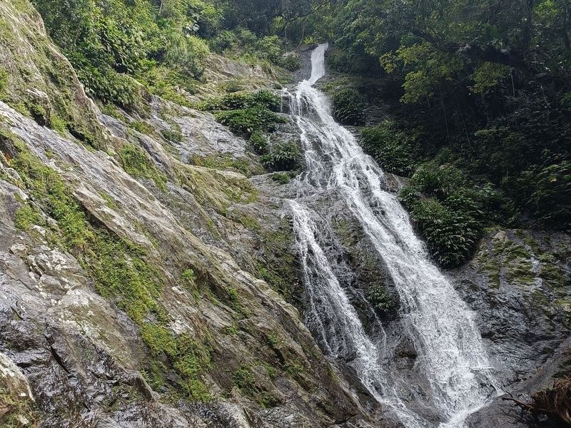 Alma de Colombia pas cher photo 22