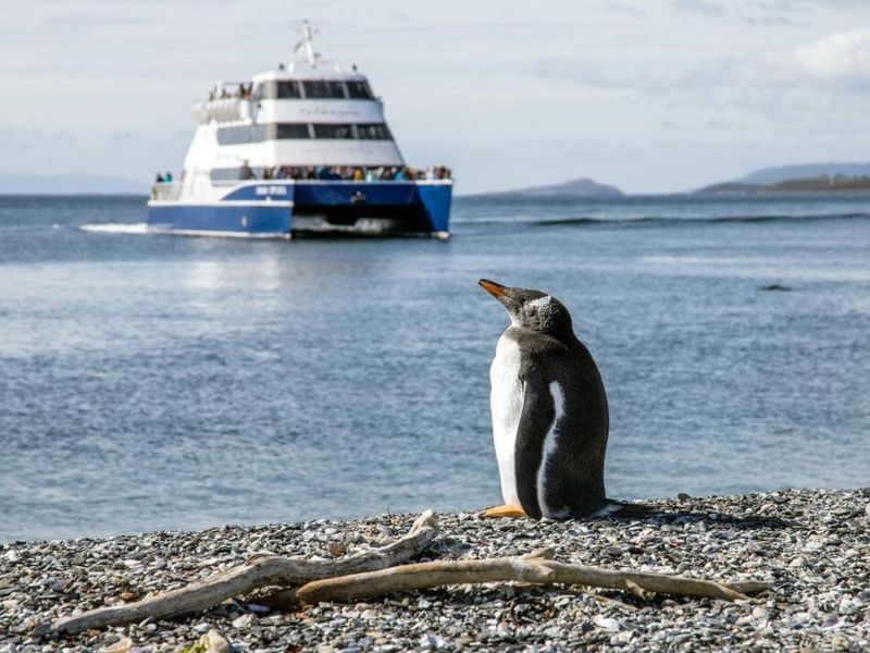 Circuit Evasion en Patagonie de l'Argentine au Chili (petit groupe) & extension Ile de Pâques pas cher photo 3