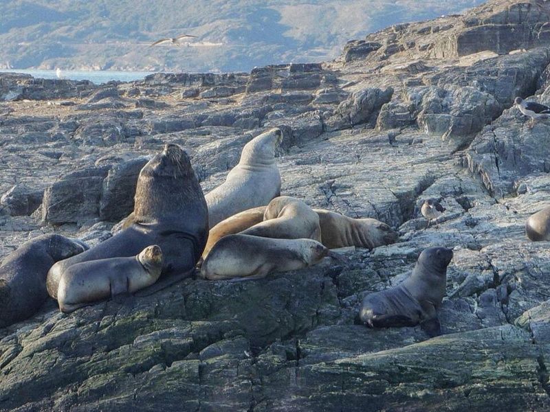 Circuit Evasion en Patagonie de l'Argentine au Chili (petit groupe) & extension Ile de Pâques pas cher photo 14