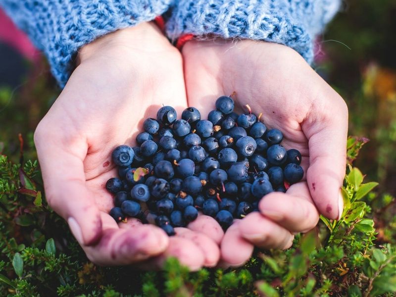 Autotour Sur la route : les 3 Laponies sous le soleil de minuit 08 jours/ 7nuits - départ les dimanc pas cher photo 6