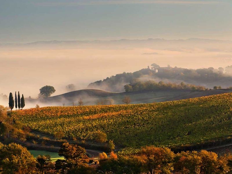 Road Trip La Toscane pas cher photo 8