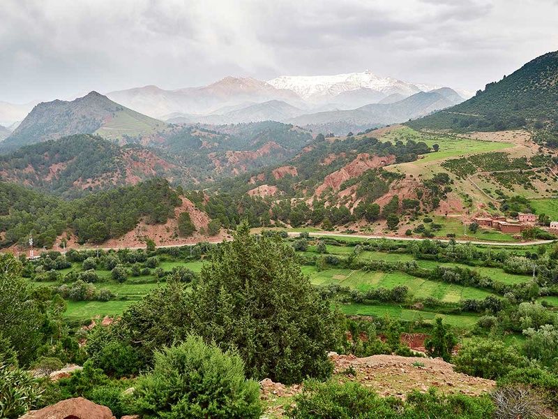 Circuit Grand Sud et kasbahs en 4 x 4 pas cher photo 3