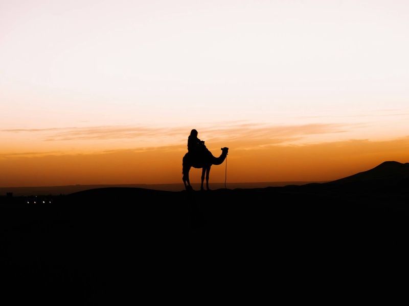 Circuit Voyage aux mille couleurs : Marrakech, Bin El Ouidane et Agafay pas cher photo 4