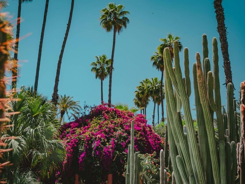 Circuit Voyage aux mille couleurs : Marrakech, Bin El Ouidane et Agafay pas cher photo 5