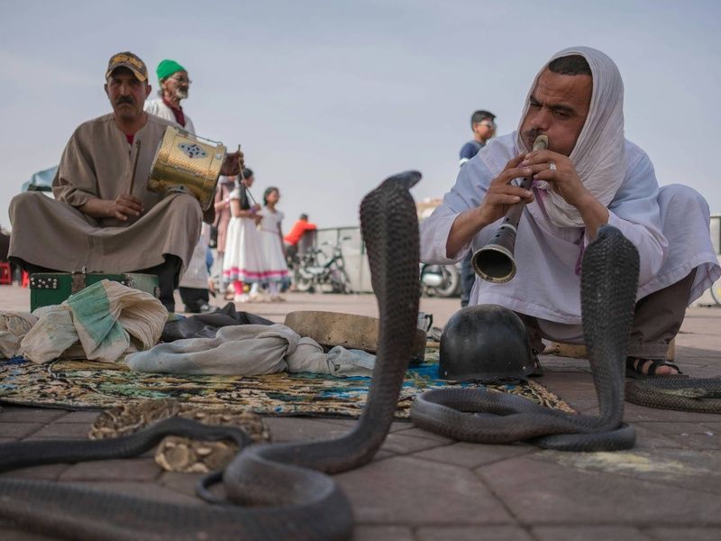 Circuit Voyage aux mille couleurs : Marrakech, Bin El Ouidane et Agafay pas cher photo 12