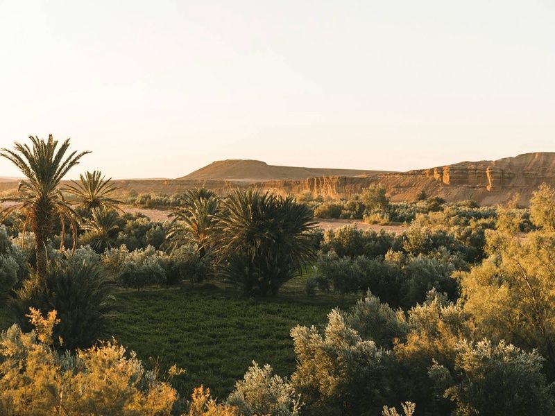 Circuit Au fil des oasis et des dunes : voyage au Maroc ancestral pas cher photo 11