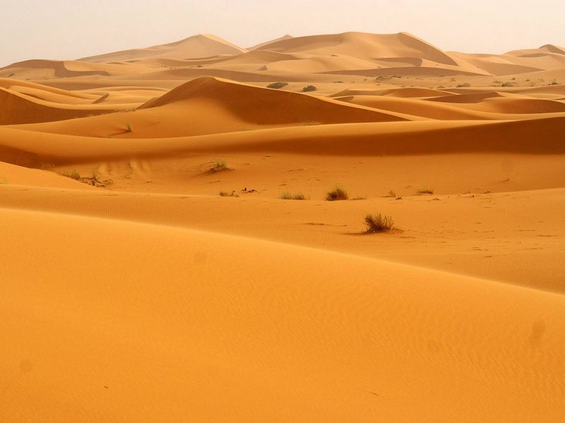 Circuit L'appel du désert : expédition en 4x4 d'Erg Chegaga à Ouarzazate pas cher photo 8