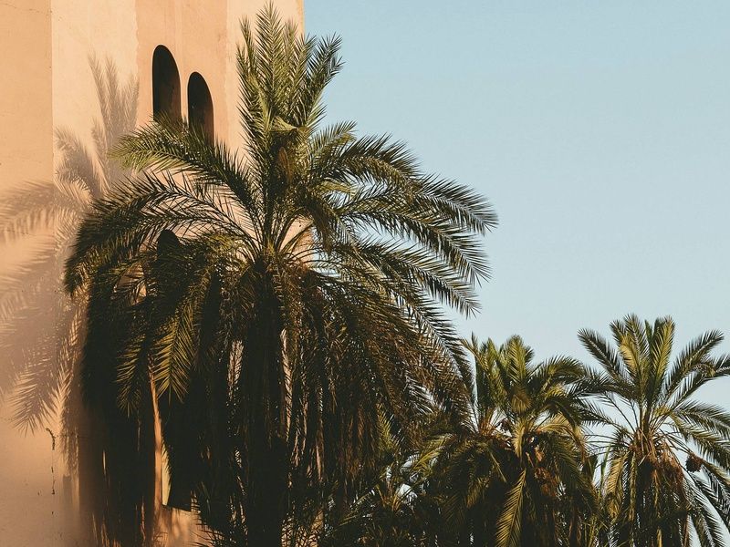 Circuit L'appel du désert : expédition en 4x4 d'Erg Chegaga à Ouarzazate pas cher photo 12