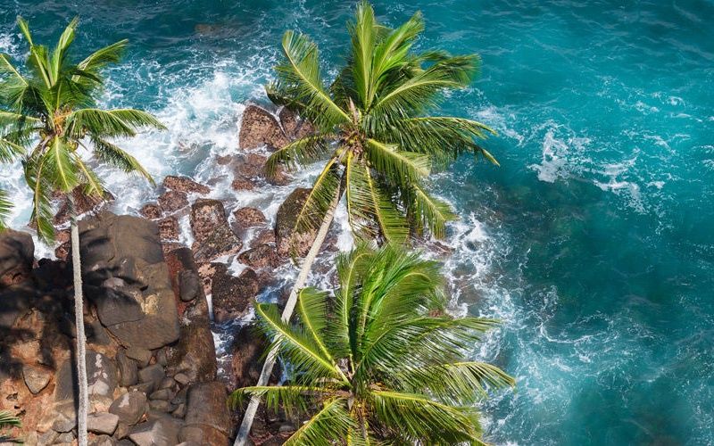 Circuit Découvertes Sri Lankaise 4* & extension Kappa Club NH Bentota Ceysands Resort & Spa 4* pas cher photo 5