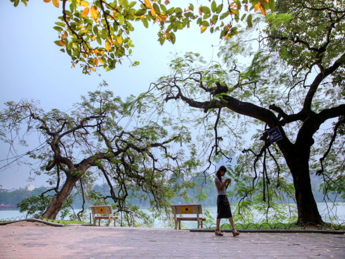 O1. Vietnam à la folie/ vol domestique inclus pas cher photo 1