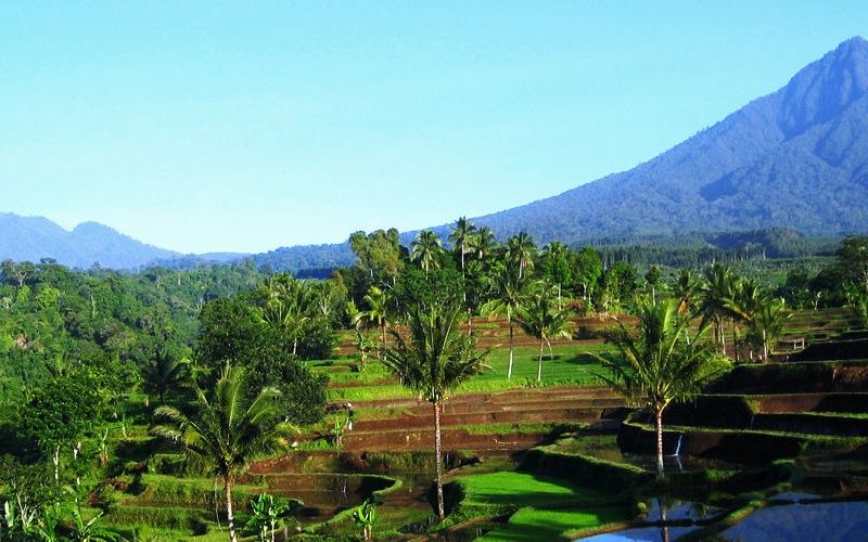 Circuit au Coeur de Bali et Extension Kappa Senses Ubud 5* pas cher photo 3