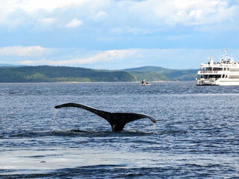 Circuit Canadavision 10 jours Version "Budget Malin" pas cher photo 6