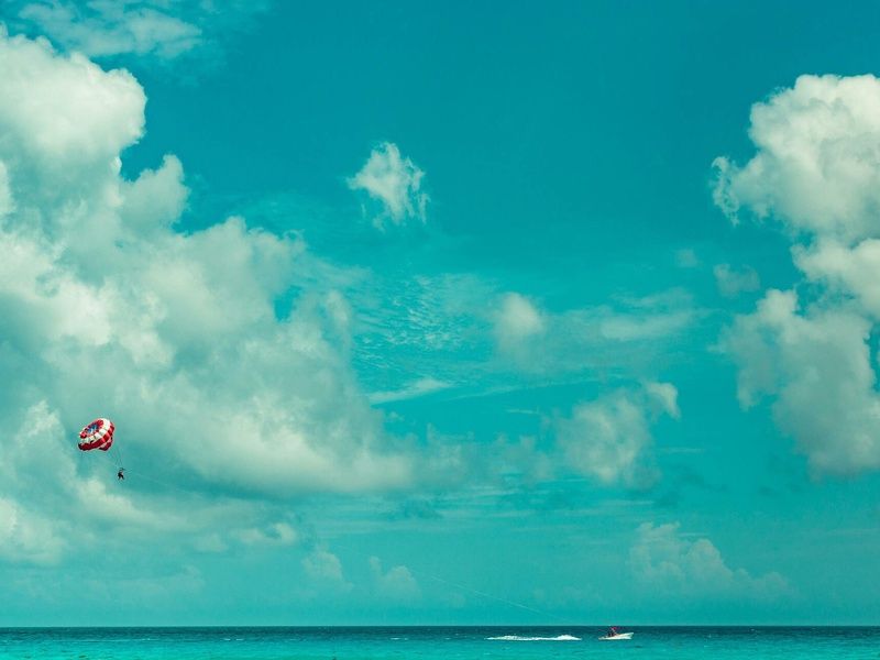 Les Murmures du Yucatán pas cher photo 6