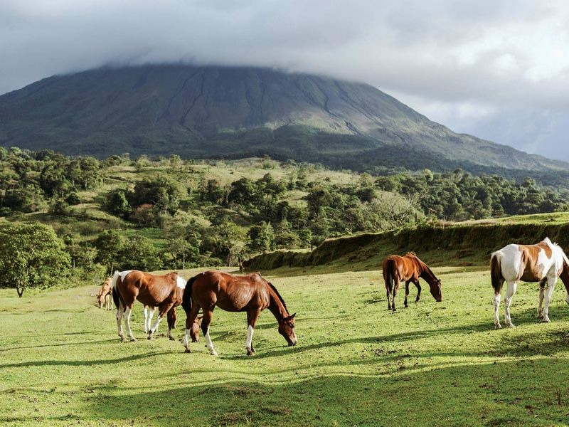 Circuit Costa Rica, terre d'émeraude et de saphir pas cher photo 3