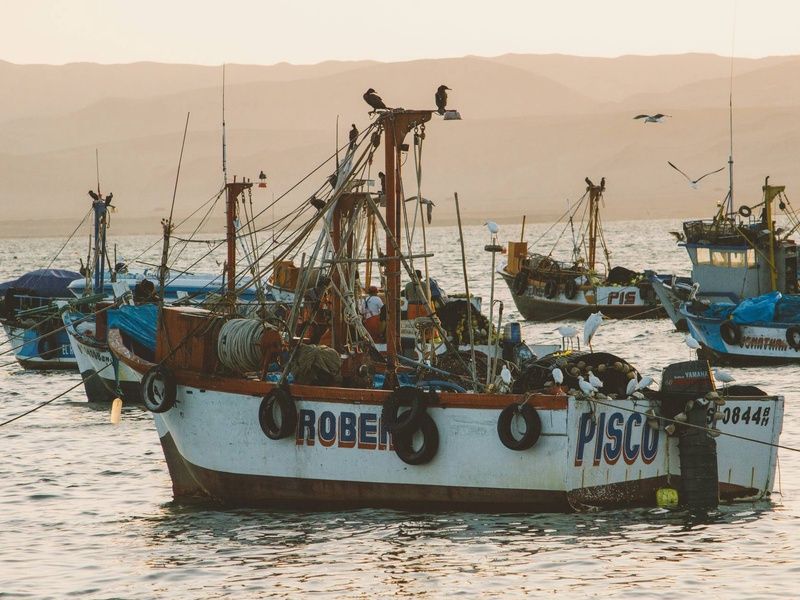 Circuit Sur la trace des Incas : de la Vallée Sacrée aux rivages de Paracas pas cher photo 9