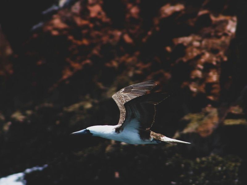 Circuit Sur la trace des Incas : de la Vallée Sacrée aux rivages de Paracas pas cher photo 10