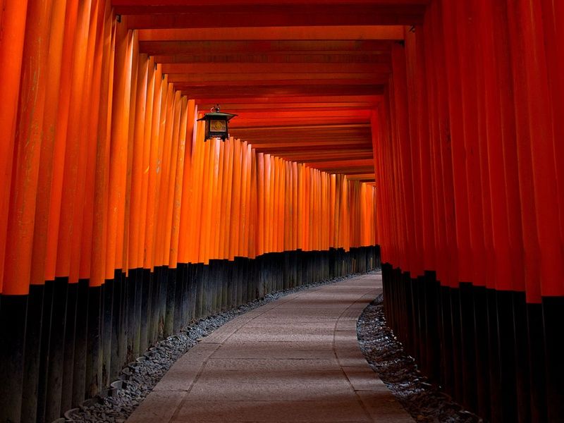 Les joyaux du Japon, de Tokyo aux Alpes japonaises pas cher photo 3