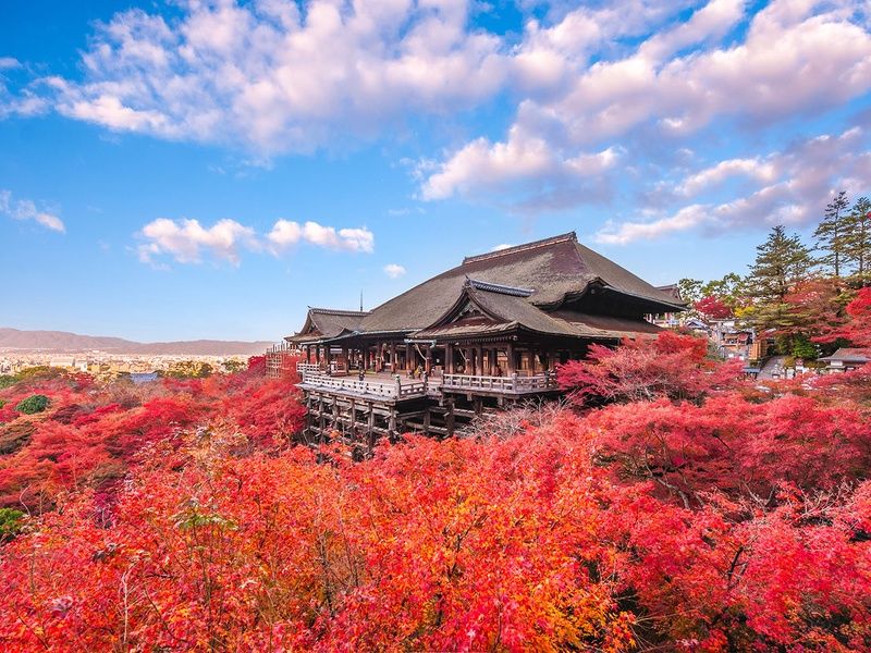 Les joyaux du Japon, de Tokyo aux Alpes japonaises pas cher photo 6