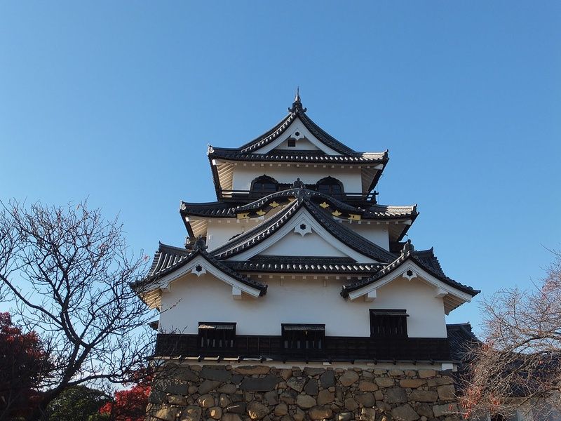 Les joyaux du Japon, de Tokyo aux Alpes japonaises pas cher photo 9