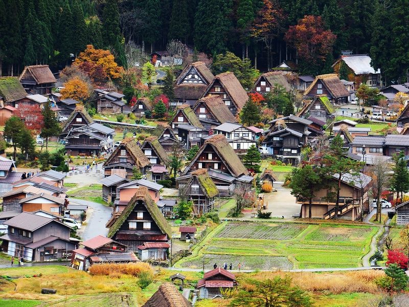 Les joyaux du Japon, de Tokyo aux Alpes japonaises pas cher photo 10