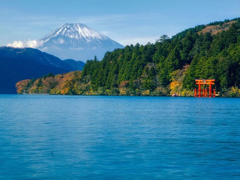 Les joyaux du Japon, de Tokyo aux Alpes japonaises pas cher photo 13