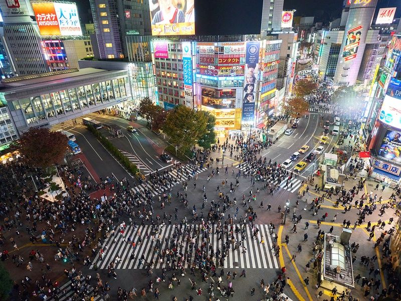 Les joyaux du Japon, de Tokyo aux Alpes japonaises pas cher photo 20