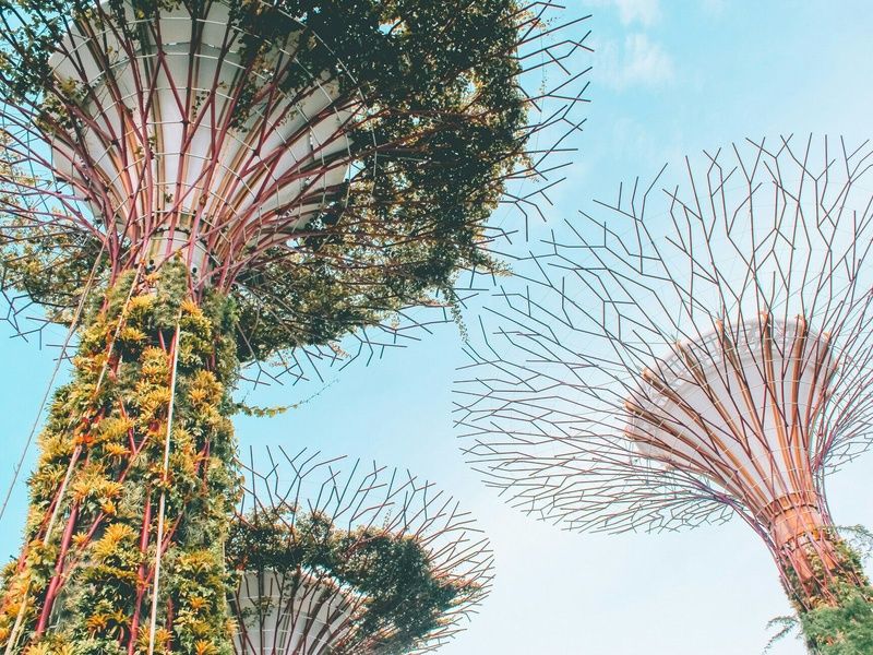 Australie & Singapour : La route des merveilles pas cher photo 13