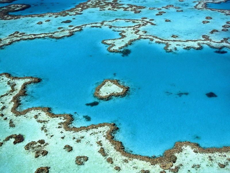 Australie & Singapour : La route des merveilles pas cher photo 14