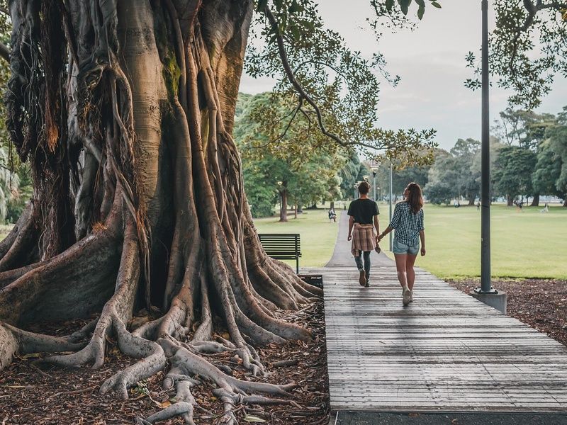 Australie & Singapour : La route des merveilles pas cher photo 21