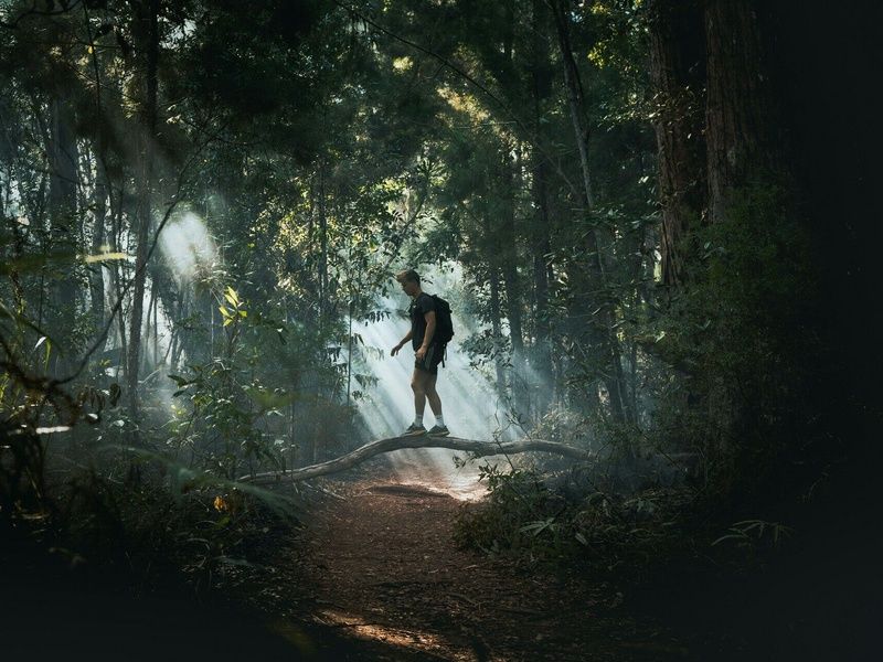 Australie & Singapour : La route des merveilles pas cher photo 24