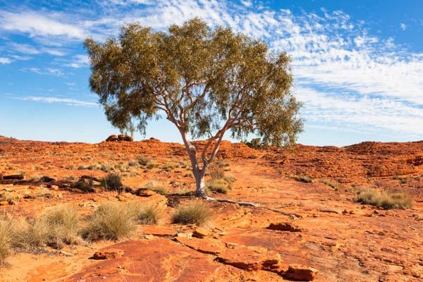Circuit Villes et paysages grandioses d'Australie, itinéraire prolongé pas cher photo 7