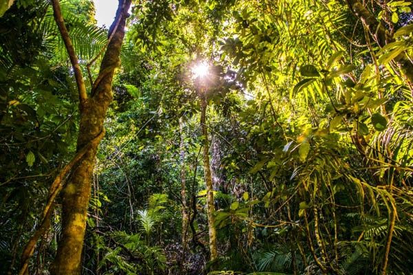 Circuit Villes et paysages grandioses d'Australie, itinéraire prolongé pas cher photo 16