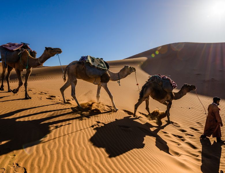 Marrakech, Désert et Mer Le Maroc en Couleurs pas cher photo 7