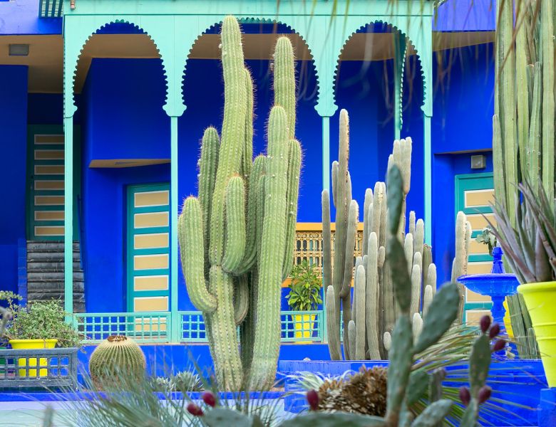 Marrakech autrement secrets de la ville rouge & excursions exclusives pas cher photo 9