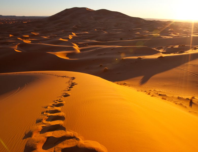 Entre Médina et Désert À la Découverte du Maroc Authentique pas cher photo 4