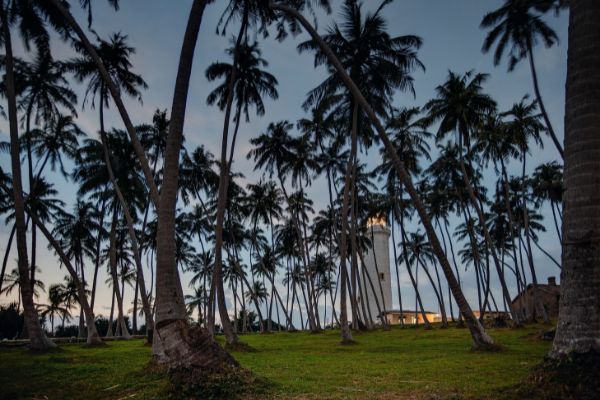 Circuit L'essentiel du Sri Lanka et plage de Beruwela pas cher photo 18