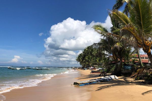 Circuit Sri Lanka Insolite pas cher photo 19