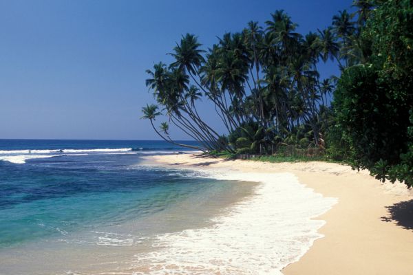 Circuit Sri Lanka Insolite pas cher photo 21