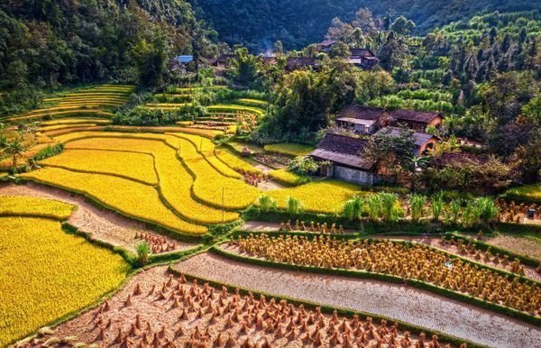 Circuit Splendeurs du Vietnam 12J/9N pas cher photo 13