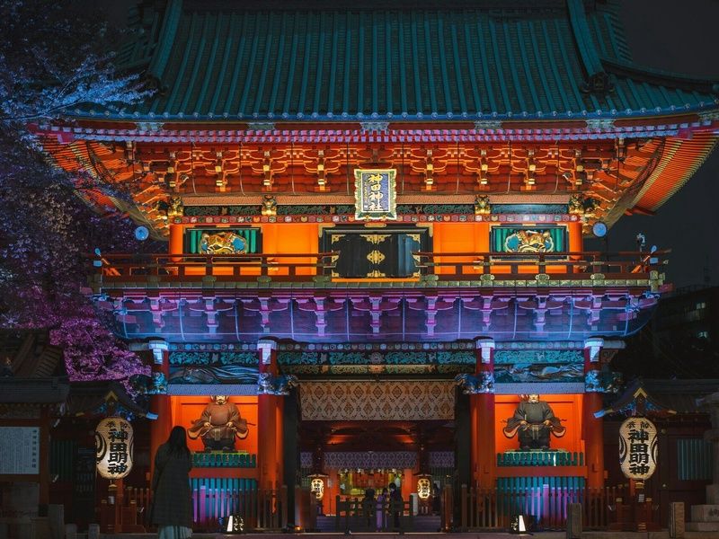 Combiné Séoul Tokyo : Japon & Corée du Sud en 3* ou 4* pas cher photo 13
